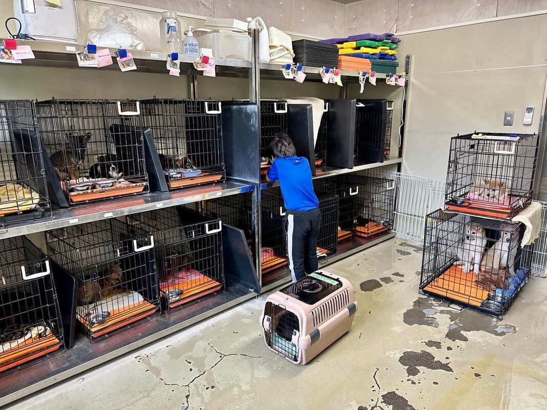 A man is standing in a room filled with lots of cages.