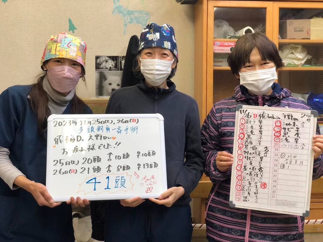 Three women wearing masks are holding signs in their hands.