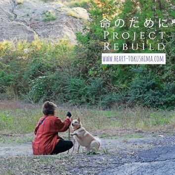 A woman is kneeling down next to a dog on a leash.