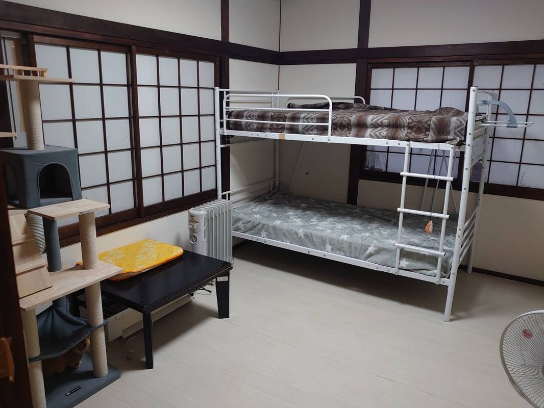 A bedroom with two bunk beds and a cat tree.