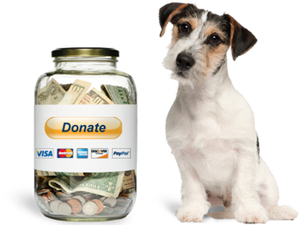 A dog sitting next to a jar that says donate