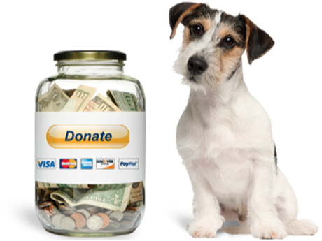 A dog sitting next to a jar that says donate