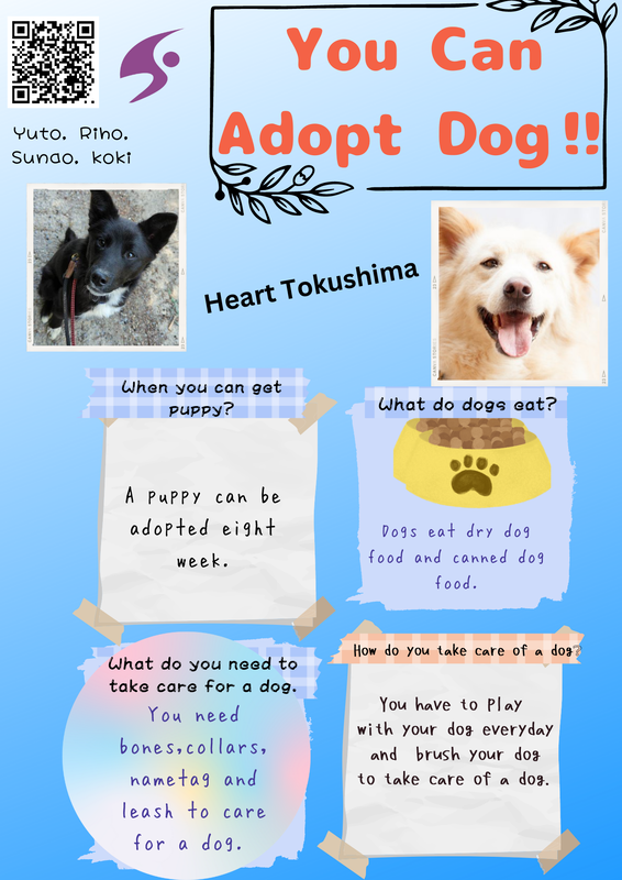 A poster that says you can adopt a dog