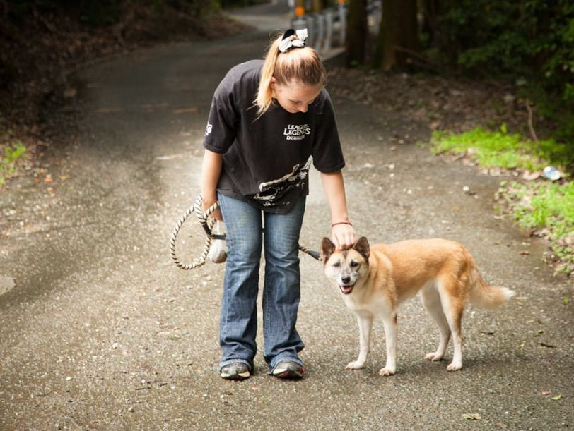 A woman is petting a dog on a leash on a road.