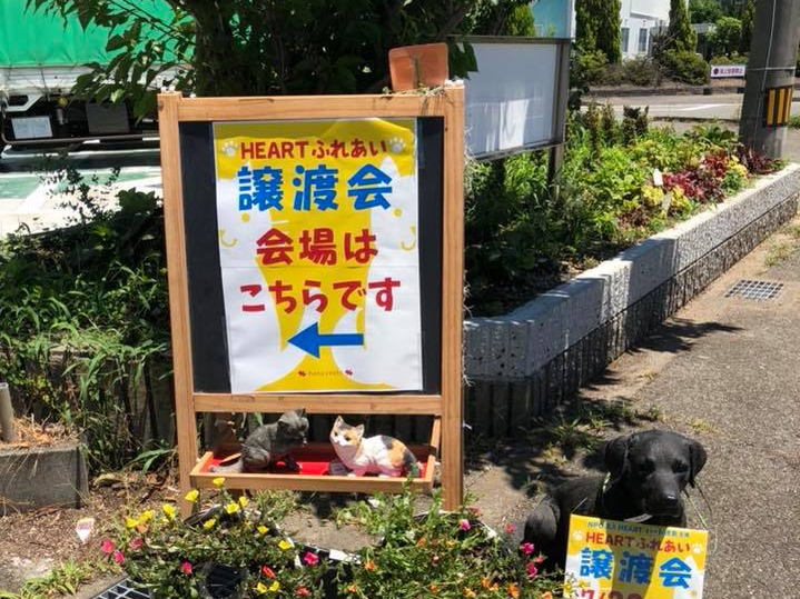 A black dog sits in front of a sign that says heart