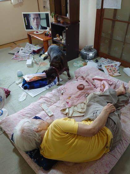 A man and a dog are laying on a bed in a messy room.