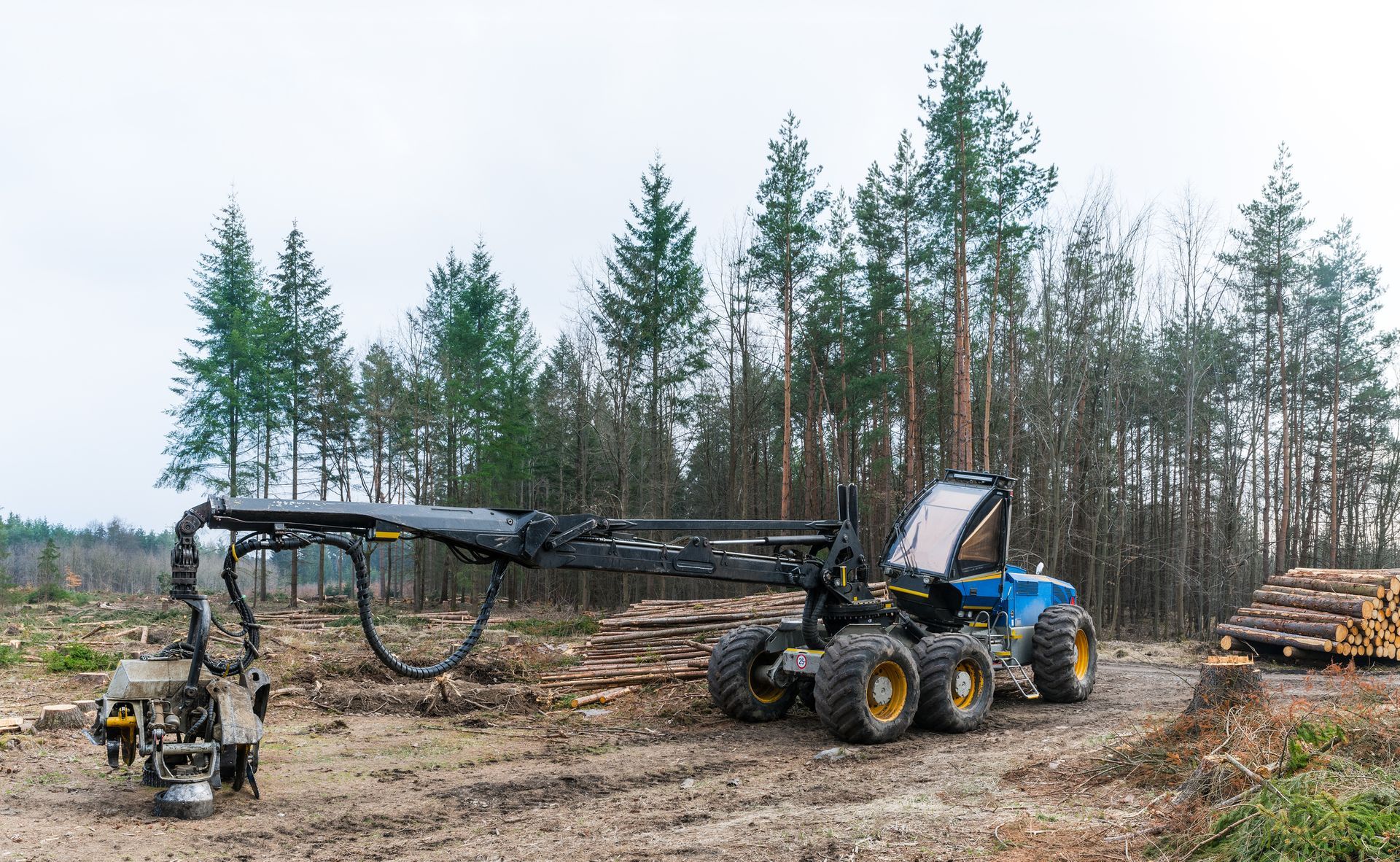 A tractor is cutting down trees in a forest.