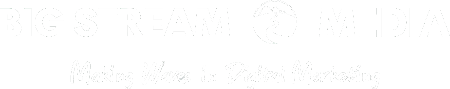 A logo for big stream media making waves in digital marketing