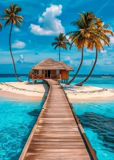 A wooden pier leading to a small island with palm trees.