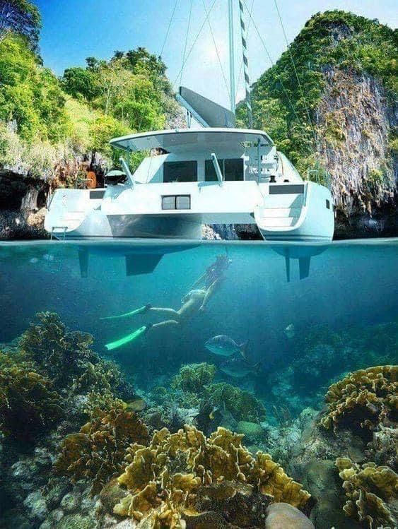 A boat is floating on top of a coral reef