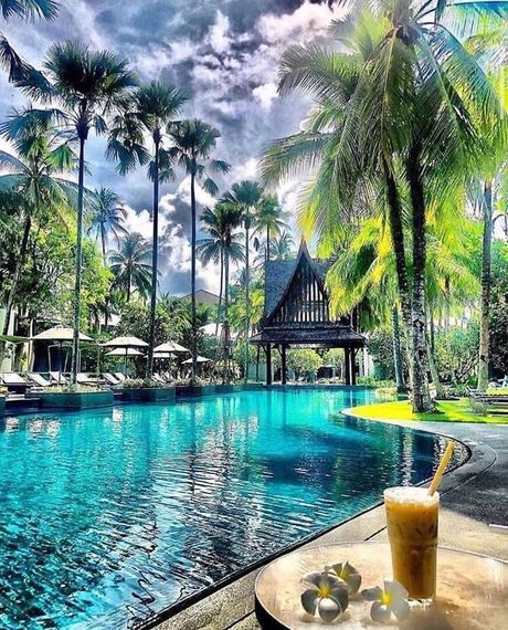 A drink is sitting on a table next to a swimming pool surrounded by palm trees.