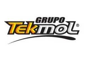 El logotipo de Grupo Tekmol está sobre un fondo blanco.