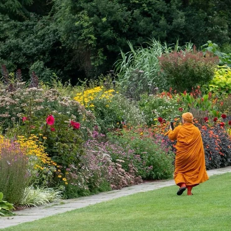 how gardening and wound care are similar