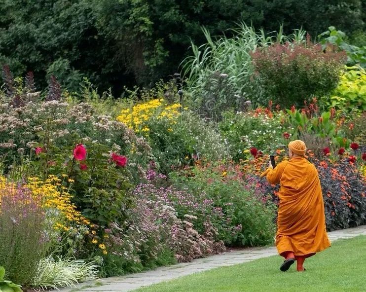 gardening and wound care