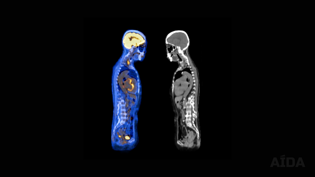 PCR Testing, Biopsies and POC Diagnostics for orthopedic surgery and wound care.