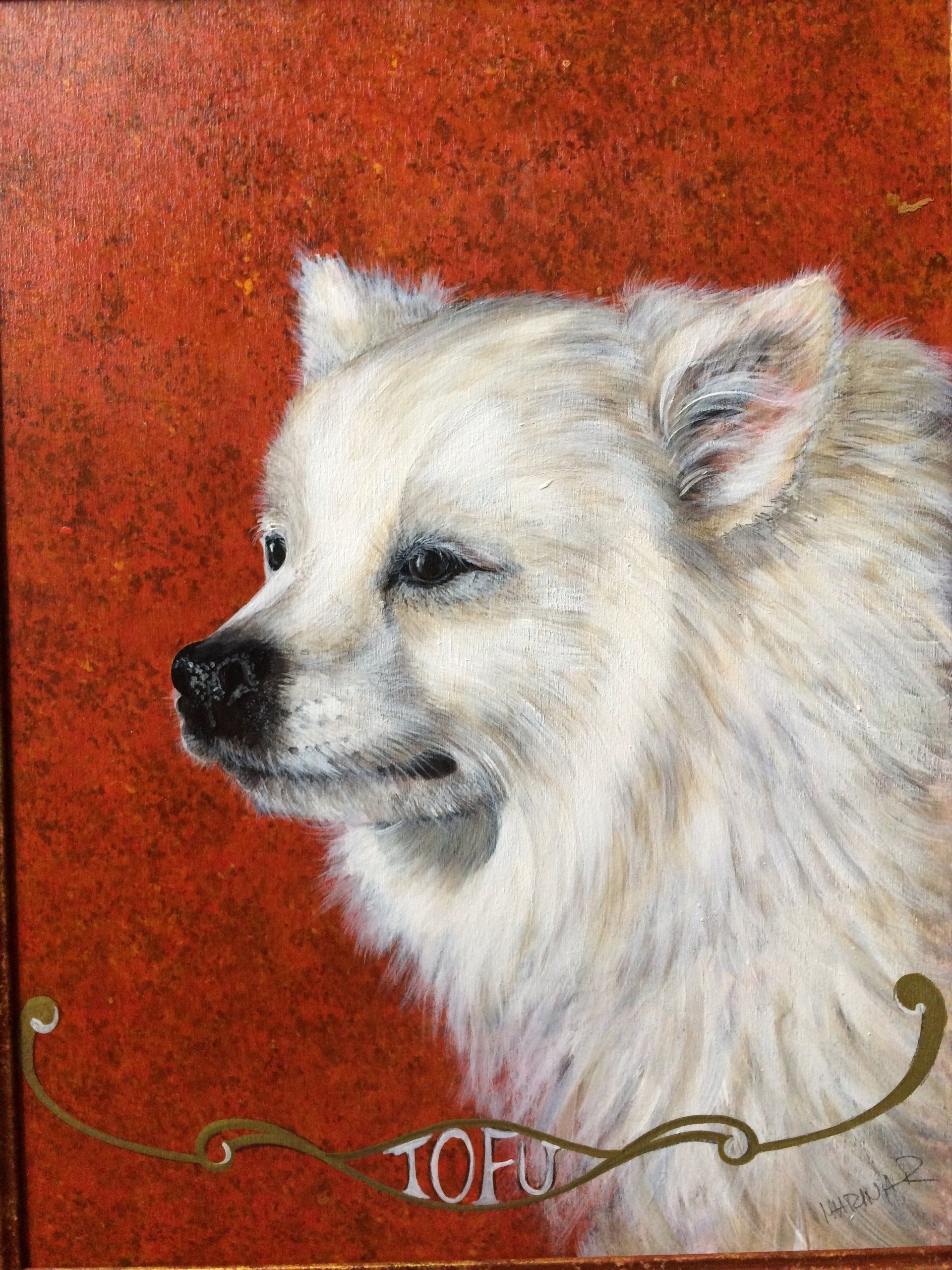 animali, cani, gatti, cavalli,  quadri, ritratti, dipinti, su misura, animali vestiti, oggetti, arredi, uova dipeinte, piatti, decorazioni, trompe, fiori, stencil, decoupage, carta, colla, matita, pennello, olio su tela , riviste, pubblicazioni, eventi, Marina Rigolone, artista, pittrice, decoratrice,