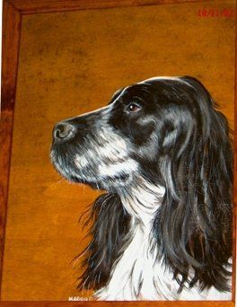 animali, cani, gatti, cavalli,  quadri, ritratti, dipinti, su misura, animali vestiti, oggetti, arredi, uova dipeinte, piatti, decorazioni, trompe, fiori, stencil, decoupage, carta, colla, matita, pennello, olio su tela , riviste, pubblicazioni, eventi, Marina Rigolone, artista, pittrice, decoratrice,