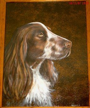 animali, cani, gatti, cavalli,  quadri, ritratti, dipinti, su misura, animali vestiti, oggetti, arredi, uova dipeinte, piatti, decorazioni, trompe, fiori, stencil, decoupage, carta, colla, matita, pennello, olio su tela , riviste, pubblicazioni, eventi, Marina Rigolone, artista, pittrice, decoratrice,