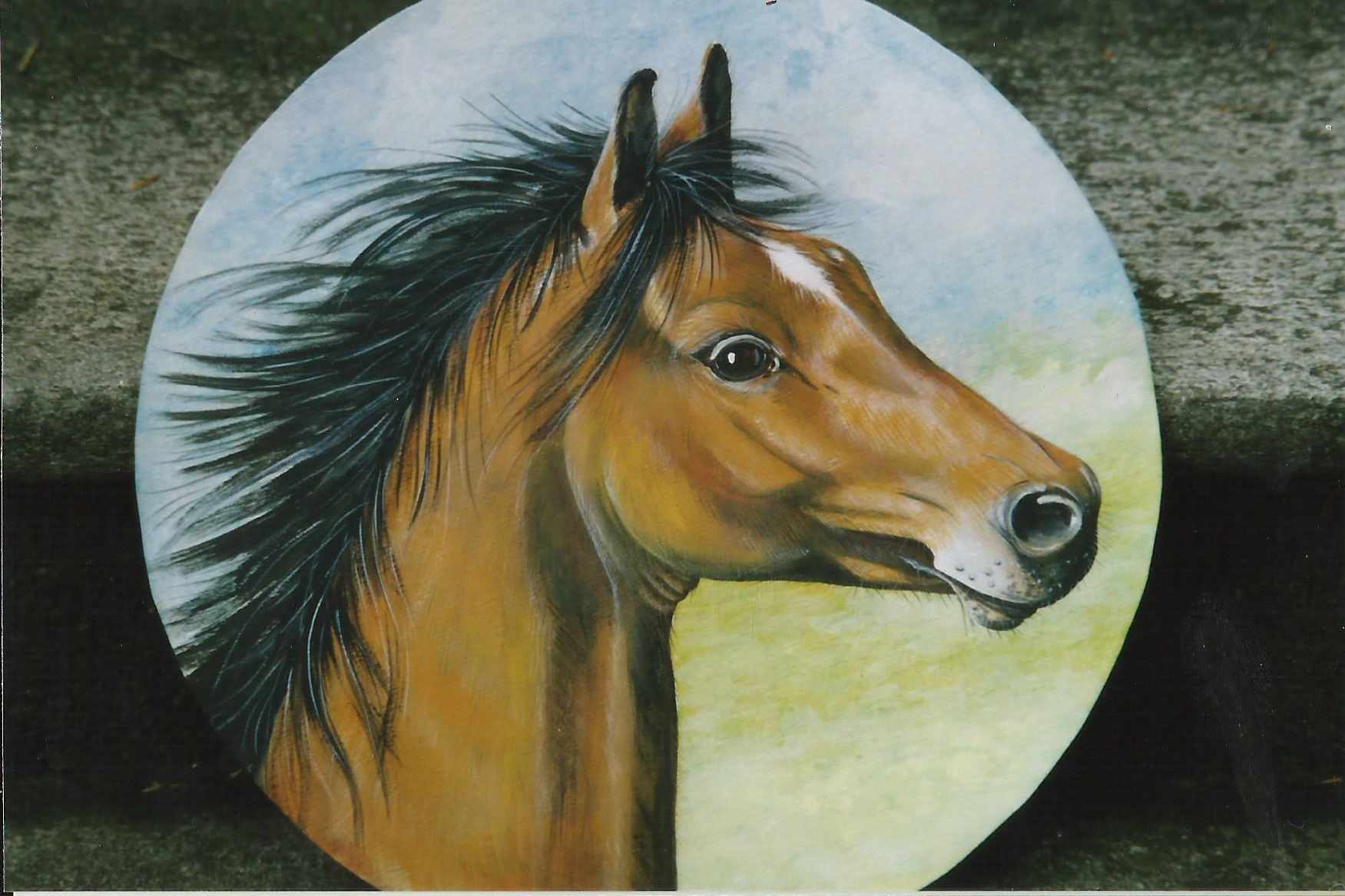 animali, cani, gatti, cavalli, quadri, ritratti, dipinti, su misura, animali vestiti, oggetti, arredi, uova dipeinte, piatti, decorazioni, trompe, fiori, stencil, decoupage, carta, colla, matita, pennello, olio su tela , riviste, pubblicazioni, eventi, Marina Rigolone, artista, pittrice, decoratrice,