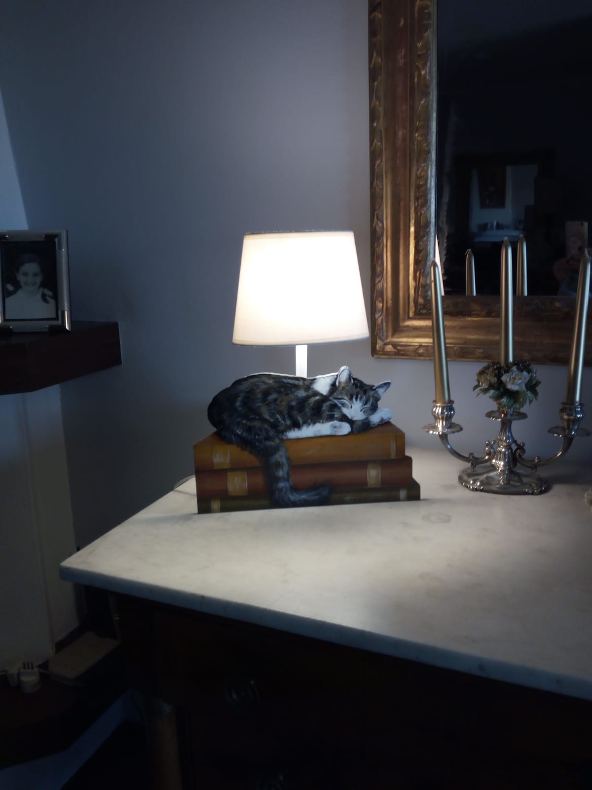 animali, cani, gatti, cavalli,  quadri, ritratti, dipinti, su misura, animali vestiti, oggetti, arredi, uova dipeinte, piatti, decorazioni, trompe, fiori, stencil, decoupage, carta, colla, matita, pennello, olio su tela , riviste, pubblicazioni, eventi, Marina Rigolone, artista, pittrice, decoratrice,