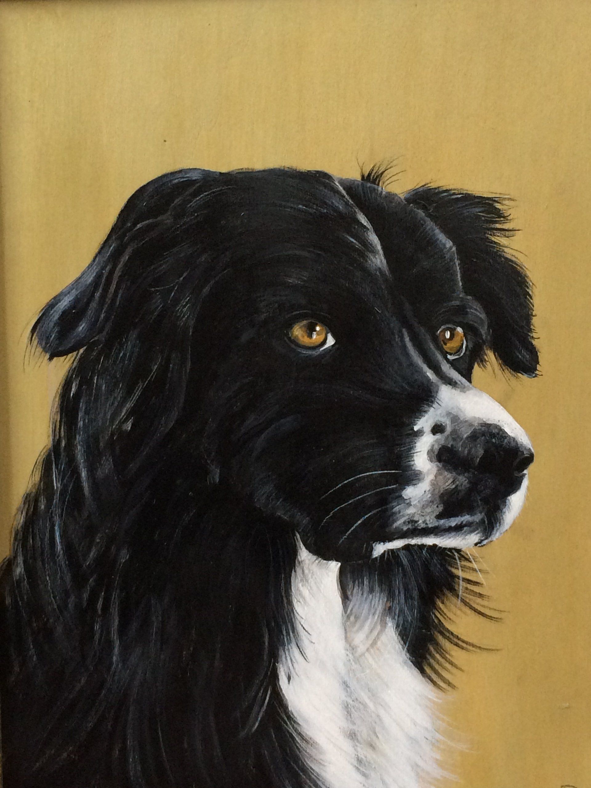 animali, cani, gatti, cavalli,  quadri, ritratti, dipinti, su misura, animali vestiti, oggetti, arredi, uova dipeinte, piatti, decorazioni, trompe, fiori, stencil, decoupage, carta, colla, matita, pennello, olio su tela , riviste, pubblicazioni, eventi, Marina Rigolone, artista, pittrice, decoratrice,