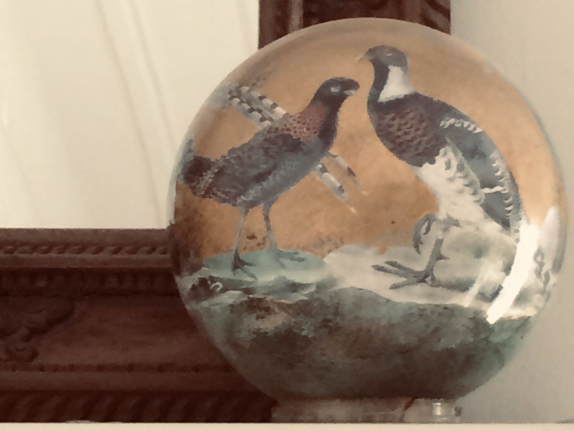 animali, cani, gatti, cavalli, quadri, ritratti, dipinti, su misura, animali vestiti, oggetti, arredi, uova dipeinte, piatti, decorazioni, trompe, fiori, stencil, decoupage, carta, colla, matita, pennello, olio su tela , riviste, pubblicazioni, eventi, Marina Rigolone, artista, pittrice, decoratrice,