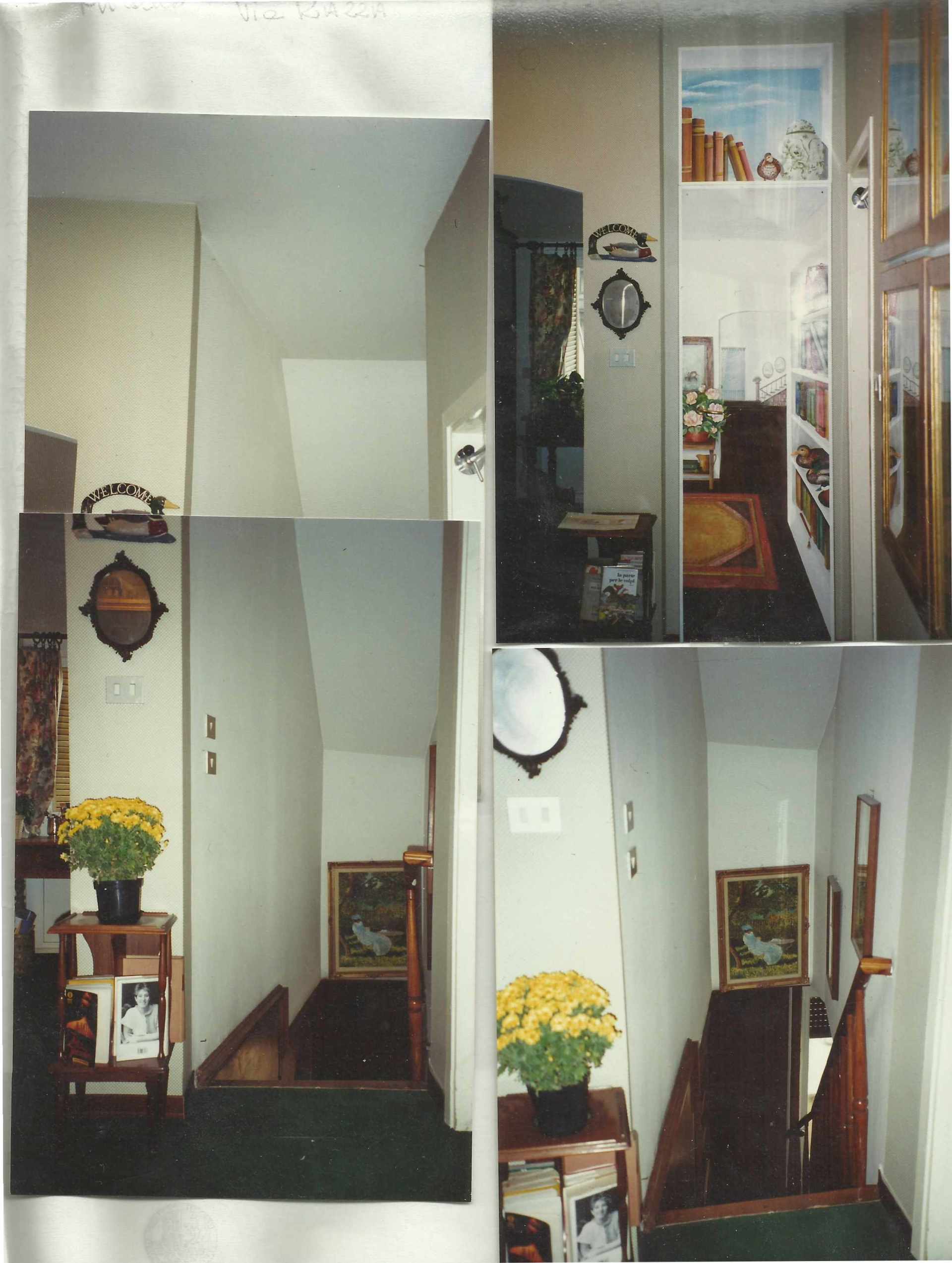 animali, cani, gatti, cavalli, quadri, ritratti, dipinti, su misura, animali vestiti, oggetti, arredi, uova dipeinte, piatti, decorazioni, trompe, fiori, stencil, decoupage, carta, colla, matita, pennello, olio su tela , riviste, pubblicazioni, eventi, Marina Rigolone, artista, pittrice, decoratrice,