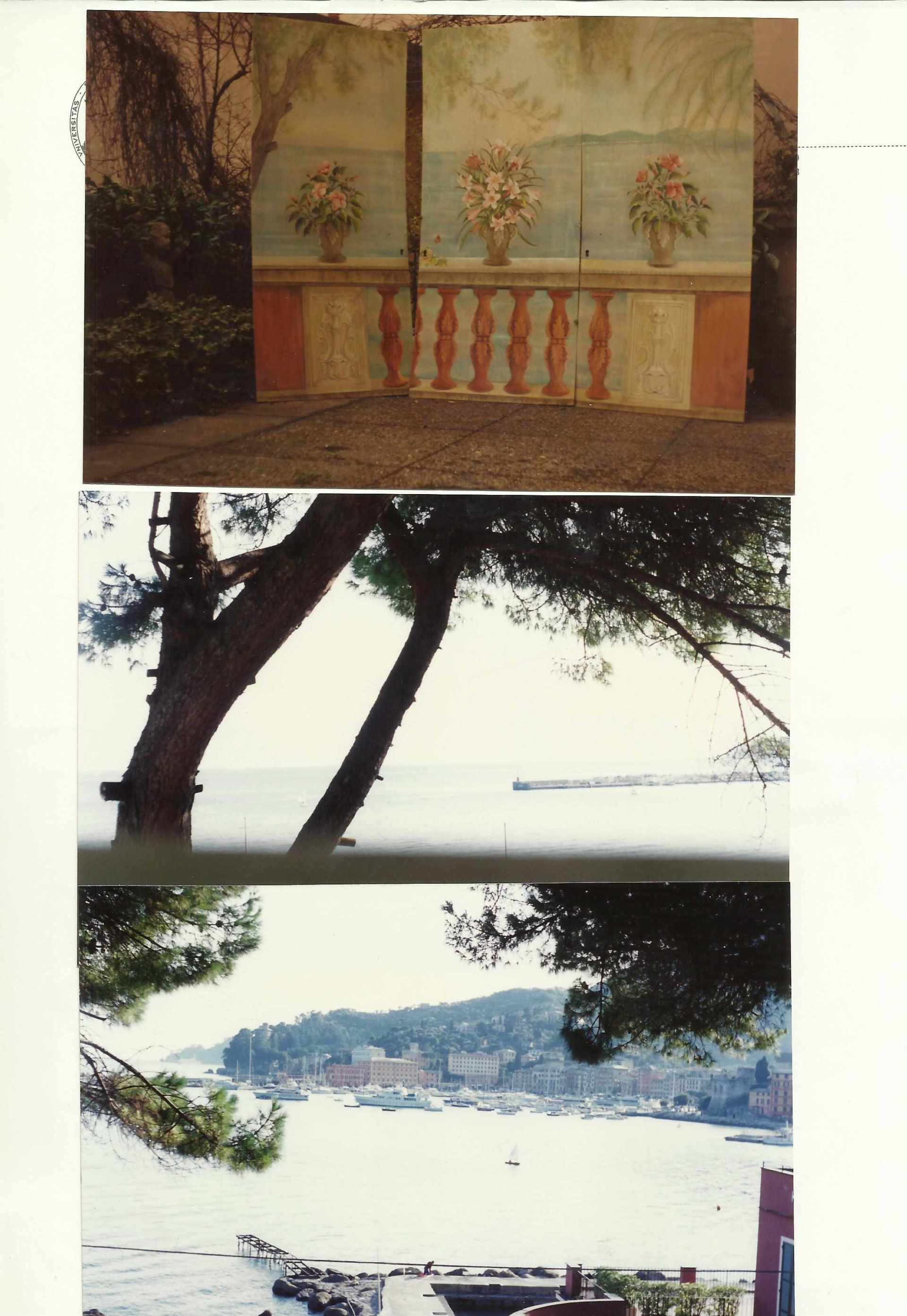 animali, cani, gatti, cavalli, quadri, ritratti, dipinti, su misura, animali vestiti, oggetti, arredi, uova dipeinte, piatti, decorazioni, trompe, fiori, stencil, decoupage, carta, colla, matita, pennello, olio su tela , riviste, pubblicazioni, eventi, Marina Rigolone, artista, pittrice, decoratrice,