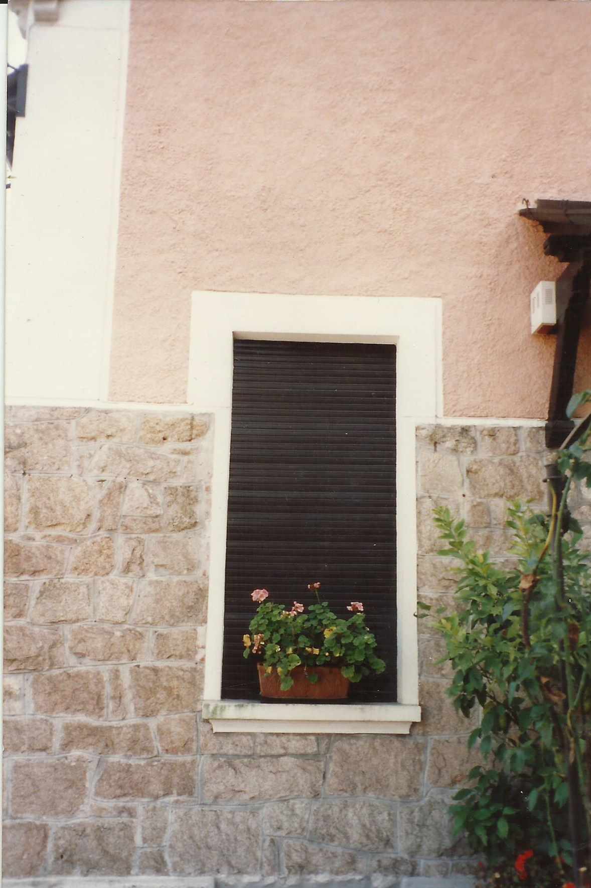 animali, cani, gatti, cavalli, quadri, ritratti, dipinti, su misura, animali vestiti, oggetti, arredi, uova dipeinte, piatti, decorazioni, trompe, fiori, stencil, decoupage, carta, colla, matita, pennello, olio su tela , riviste, pubblicazioni, eventi, Marina Rigolone, artista, pittrice, decoratrice,