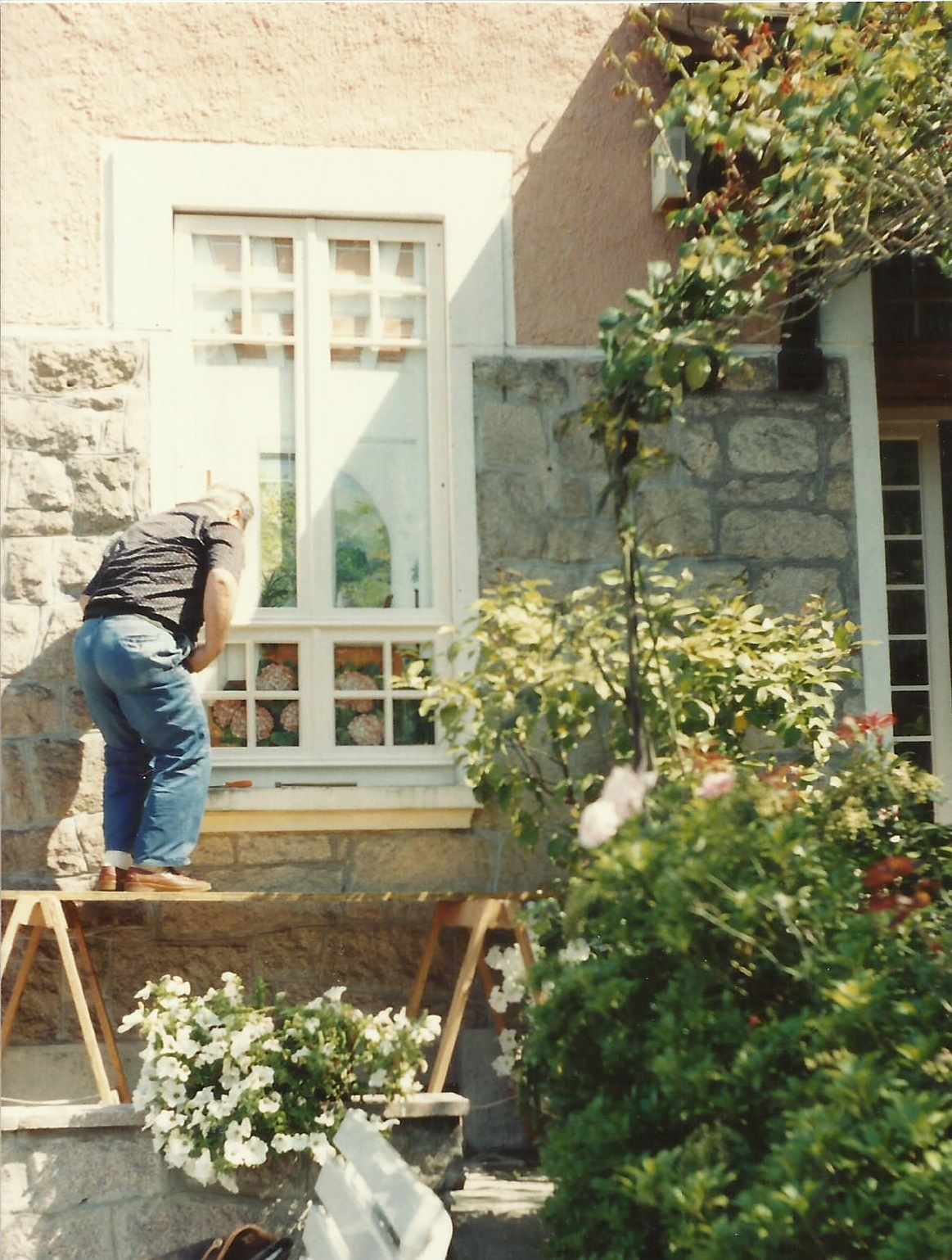 animali, cani, gatti, cavalli, quadri, ritratti, dipinti, su misura, animali vestiti, oggetti, arredi, uova dipeinte, piatti, decorazioni, trompe, fiori, stencil, decoupage, carta, colla, matita, pennello, olio su tela , riviste, pubblicazioni, eventi, Marina Rigolone, artista, pittrice, decoratrice,