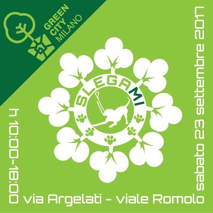 animali, cani, gatti, cavalli,  quadri, ritratti, dipinti, su misura, animali vestiti, oggetti, arredi, uova dipeinte, piatti, decorazioni, trompe, fiori, stencil, decoupage, carta, colla, matita, pennello, olio su tela , riviste, pubblicazioni, eventi, Marina Rigolone, artista, pittrice, decoratrice,