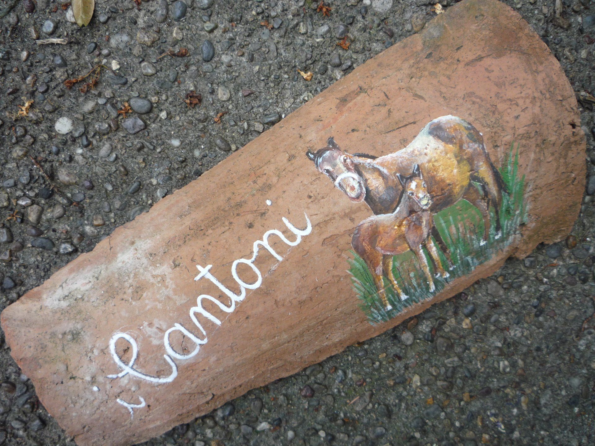 animali, cani, gatti, cavalli,  quadri, ritratti, dipinti, su misura, animali vestiti, oggetti, arredi, uova dipeinte, piatti, decorazioni, trompe, fiori, stencil, decoupage, carta, colla, matita, pennello, olio su tela , riviste, pubblicazioni, eventi, Marina Rigolone, artista, pittrice, decoratrice,