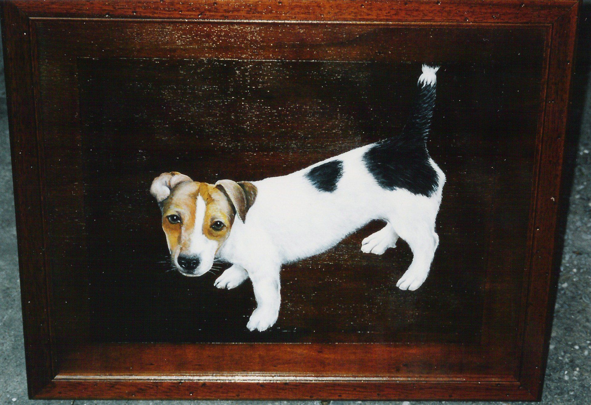 animali, cani, gatti, cavalli, quadri, ritratti, dipinti, su misura, animali vestiti, oggetti, arredi, uova dipeinte, piatti, decorazioni, trompe, fiori, stencil, decoupage, carta, colla, matita, pennello, olio su tela , riviste, pubblicazioni, eventi, Marina Rigolone, artista, pittrice, decoratrice,