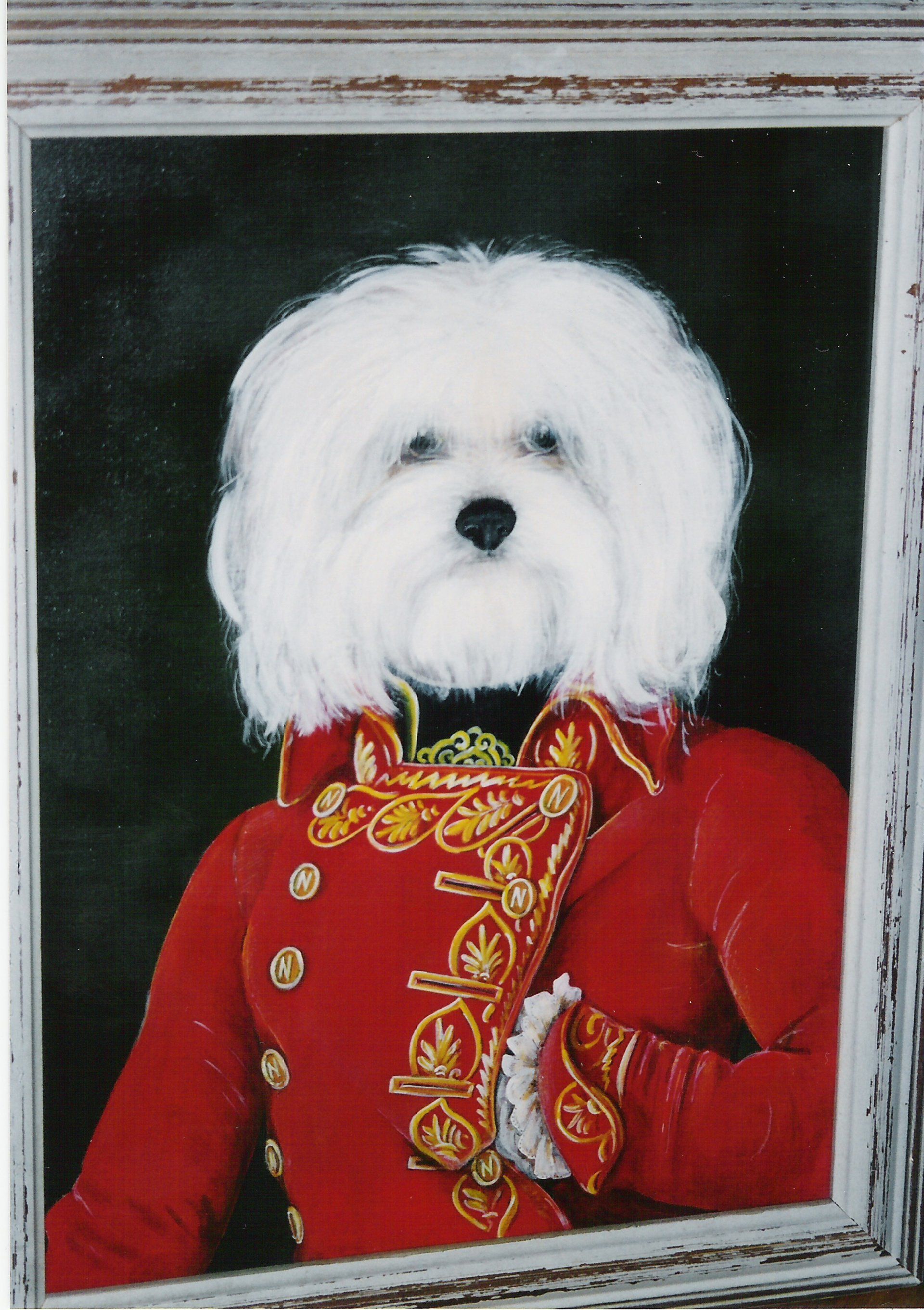 animali, cani, gatti, cavalli, quadri, ritratti, dipinti, su misura, animali vestiti, oggetti, arredi, uova dipeinte, piatti, decorazioni, trompe, fiori, stencil, decoupage, carta, colla, matita, pennello, olio su tela , riviste, pubblicazioni, eventi, Marina Rigolone, artista, pittrice, decoratrice,