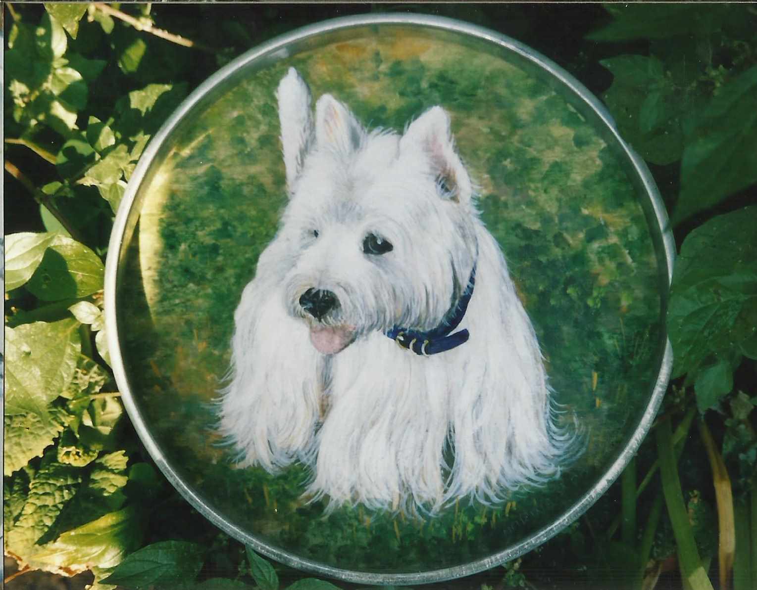 animali, cani, gatti, cavalli, quadri, ritratti, dipinti, su misura, animali vestiti, oggetti, arredi, uova dipeinte, piatti, decorazioni, trompe, fiori, stencil, decoupage, carta, colla, matita, pennello, olio su tela , riviste, pubblicazioni, eventi, Marina Rigolone, artista, pittrice, decoratrice,