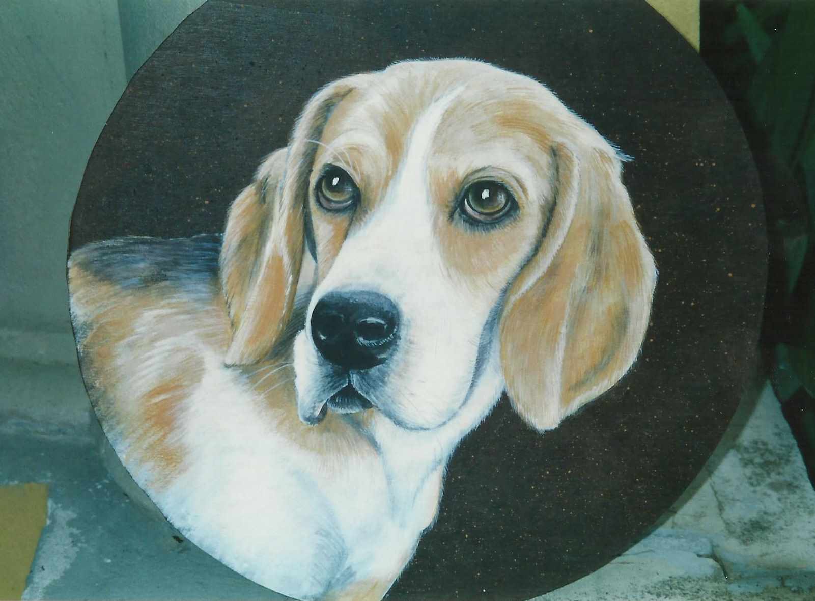 animali, cani, gatti, cavalli,  quadri, ritratti, dipinti, su misura, animali vestiti, oggetti, arredi, uova dipeinte, piatti, decorazioni, trompe, fiori, stencil, decoupage, carta, colla, matita, pennello, olio su tela , riviste, pubblicazioni, eventi, Marina Rigolone, artista, pittrice, decoratrice,