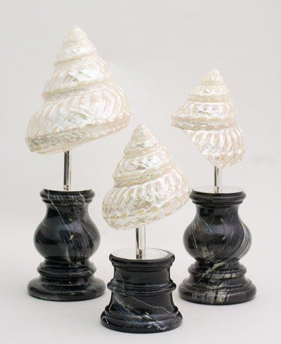 animali, cani, gatti, cavalli, quadri, ritratti, dipinti, su misura, animali vestiti, oggetti, arredi, uova dipeinte, piatti, decorazioni, trompe, fiori, stencil, decoupage, carta, colla, matita, pennello, olio su tela , riviste, pubblicazioni, eventi, Marina Rigolone, artista, pittrice, decoratrice,