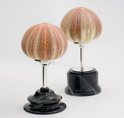 animali, cani, gatti, cavalli, quadri, ritratti, dipinti, su misura, animali vestiti, oggetti, arredi, uova dipeinte, piatti, decorazioni, trompe, fiori, stencil, decoupage, carta, colla, matita, pennello, olio su tela , riviste, pubblicazioni, eventi, Marina Rigolone, artista, pittrice, decoratrice,