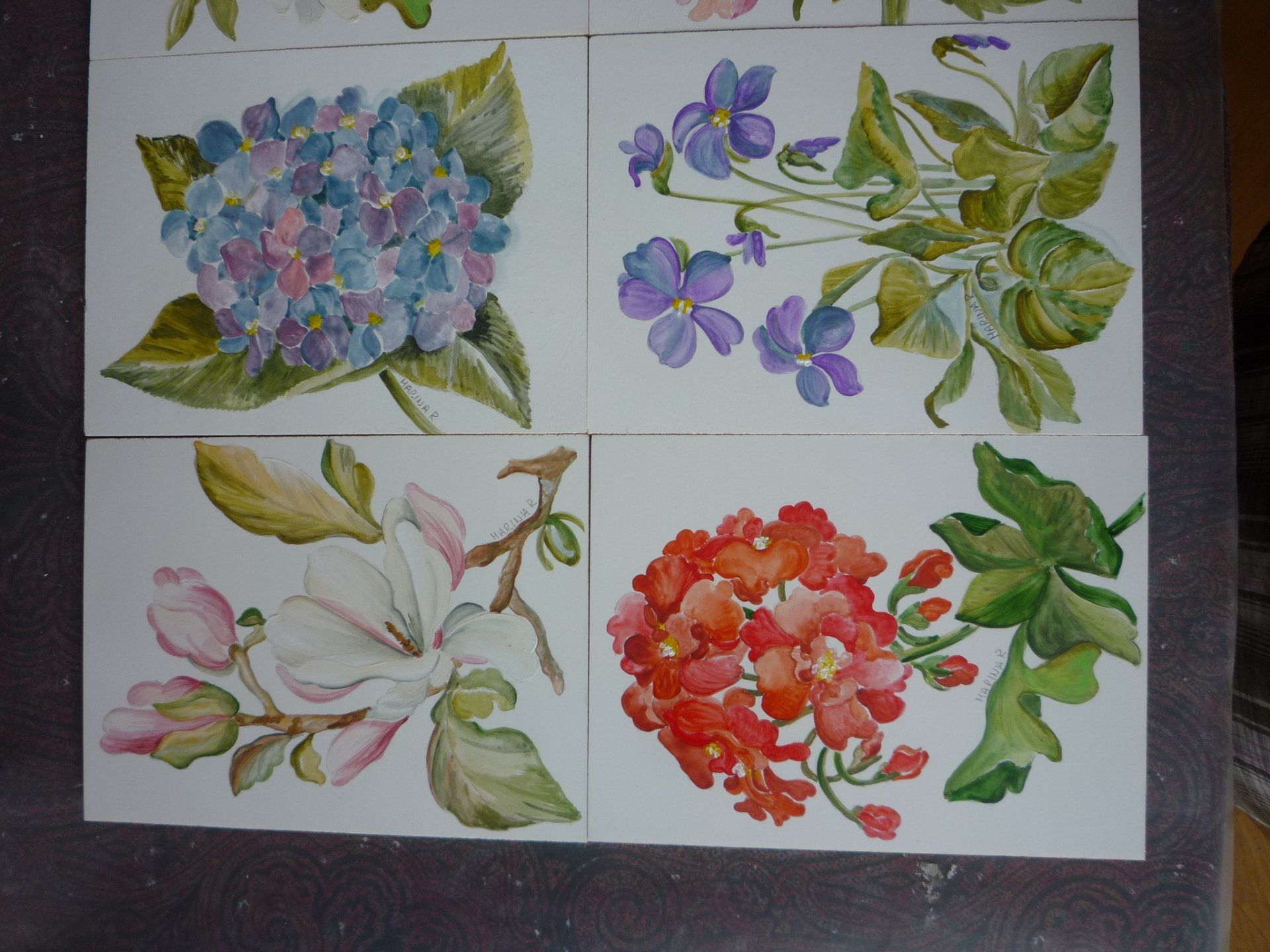 animali, cani, gatti, cavalli,  quadri, ritratti, dipinti, su misura, animali vestiti, oggetti, arredi, uova dipeinte, piatti, decorazioni, trompe, fiori, stencil, decoupage, carta, colla, matita, pennello, olio su tela , riviste, pubblicazioni, eventi, Marina Rigolone, artista, pittrice, decoratrice,