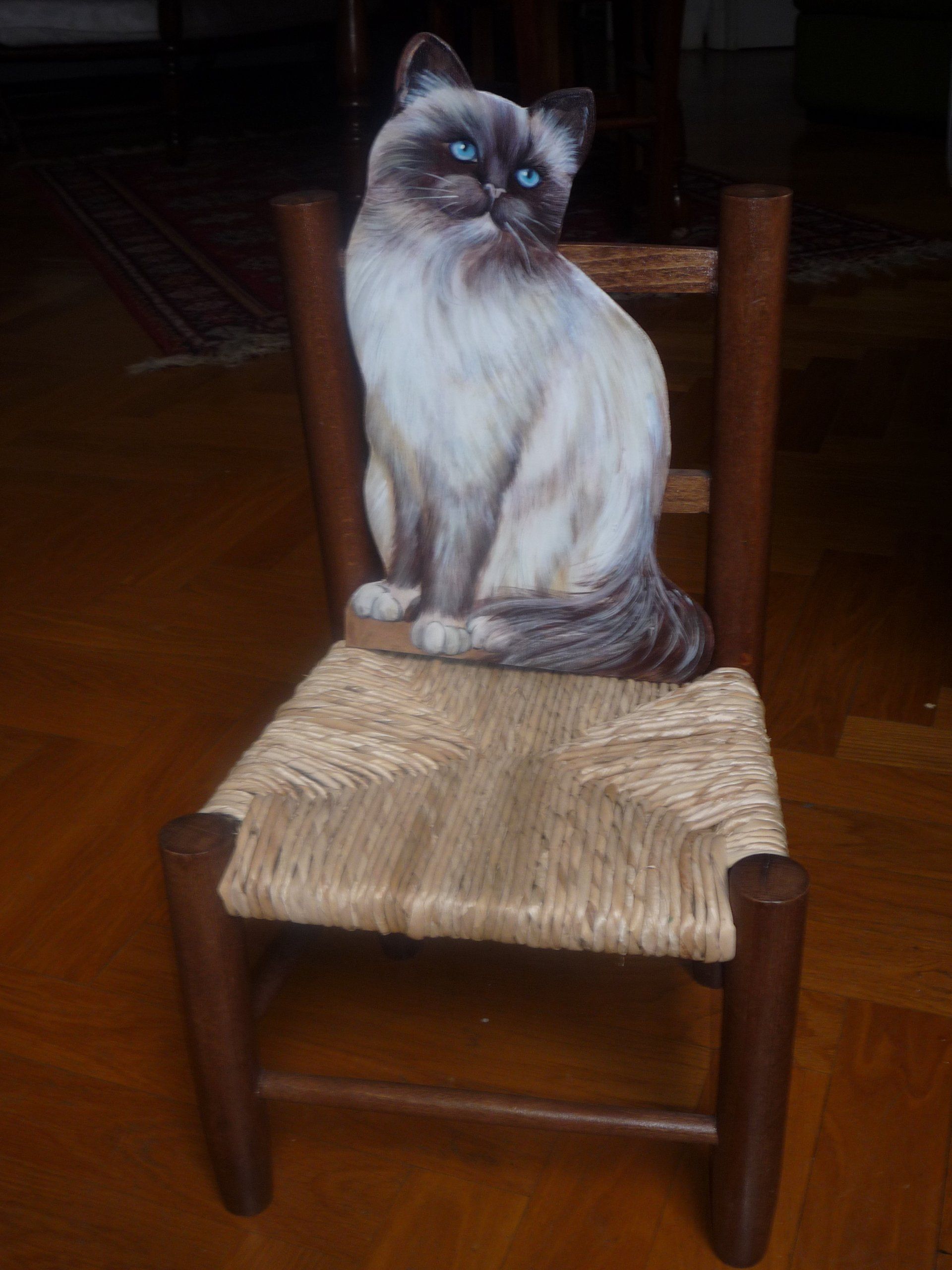 animali, cani, gatti, cavalli,  quadri, ritratti, dipinti, su misura, animali vestiti, oggetti, arredi, uova dipeinte, piatti, decorazioni, trompe, fiori, stencil, decoupage, carta, colla, matita, pennello, olio su tela , riviste, pubblicazioni, eventi, Marina Rigolone, artista, pittrice, decoratrice,