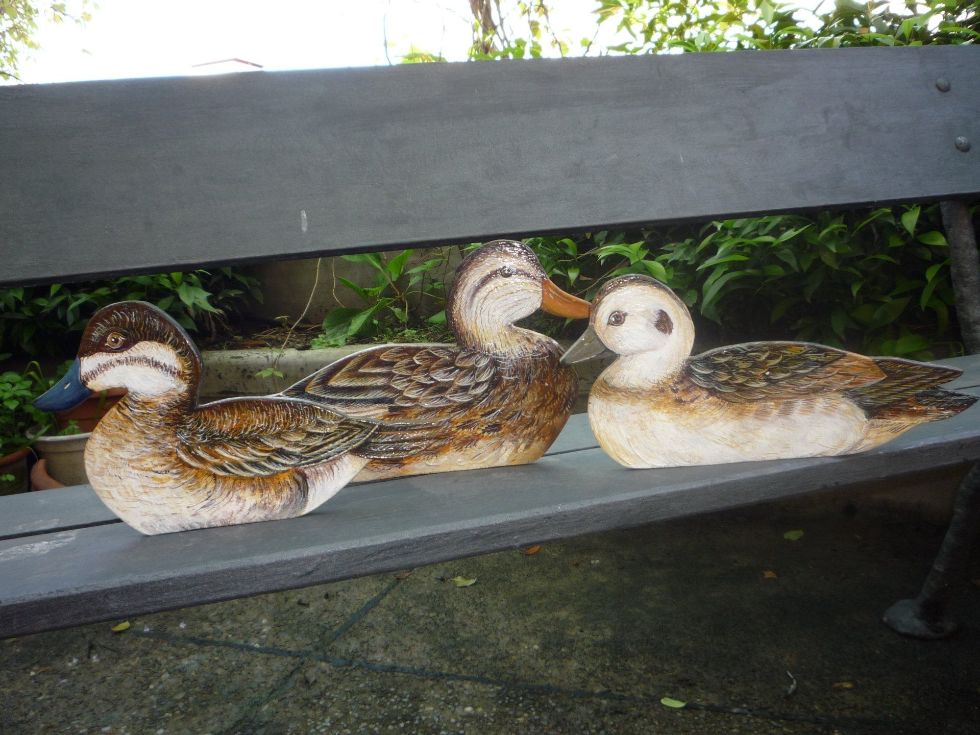 animali, cani, gatti, cavalli,  quadri, ritratti, dipinti, su misura, animali vestiti, oggetti, arredi, uova dipeinte, piatti, decorazioni, trompe, fiori, stencil, decoupage, carta, colla, matita, pennello, olio su tela , riviste, pubblicazioni, eventi, Marina Rigolone, artista, pittrice, decoratrice,