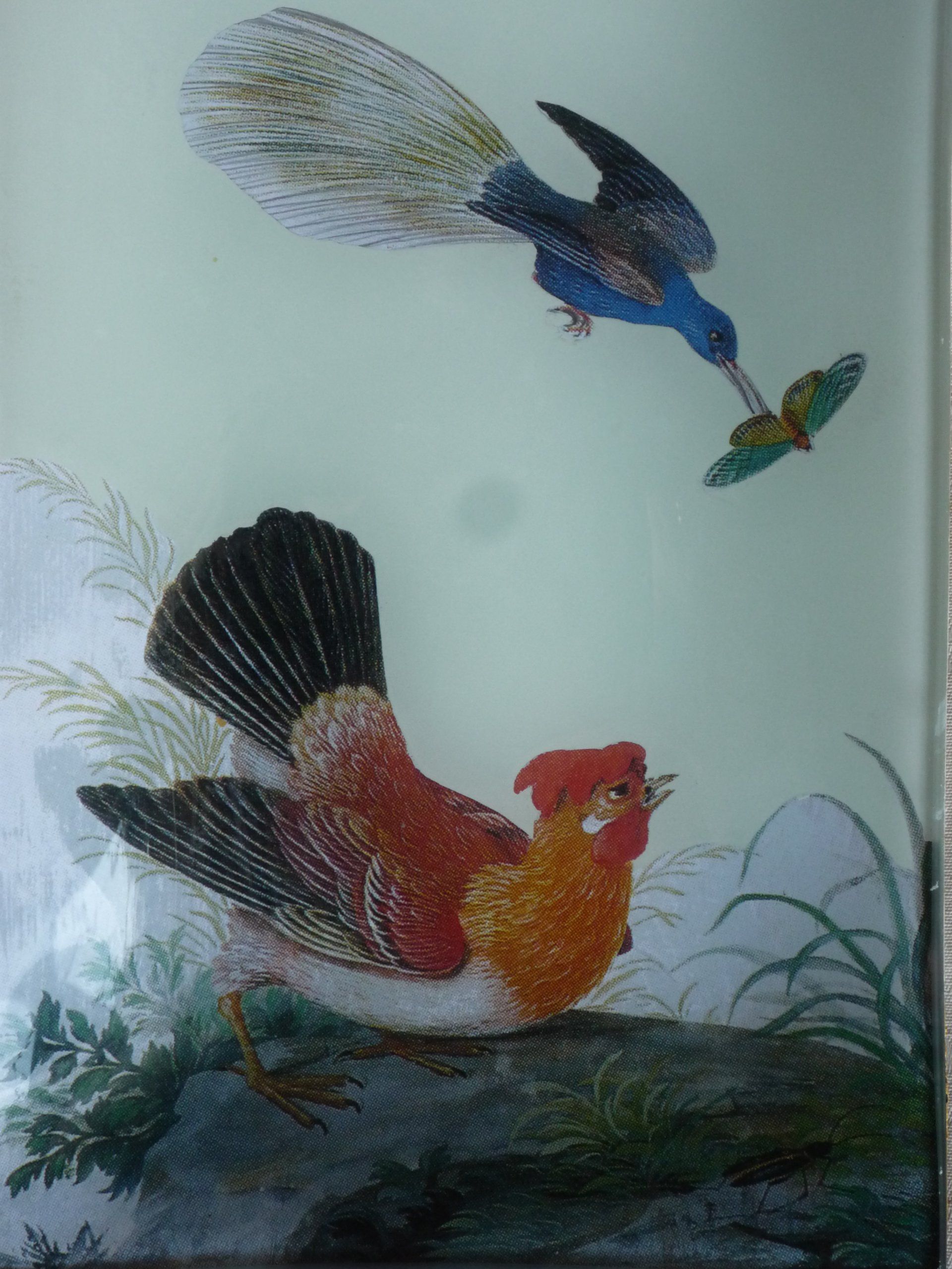 animali, cani, gatti, cavalli,  quadri, ritratti, dipinti, su misura, animali vestiti, oggetti, arredi, uova dipeinte, piatti, decorazioni, trompe, fiori, stencil, decoupage, carta, colla, matita, pennello, olio su tela , riviste, pubblicazioni, eventi, Marina Rigolone, artista, pittrice, decoratrice,