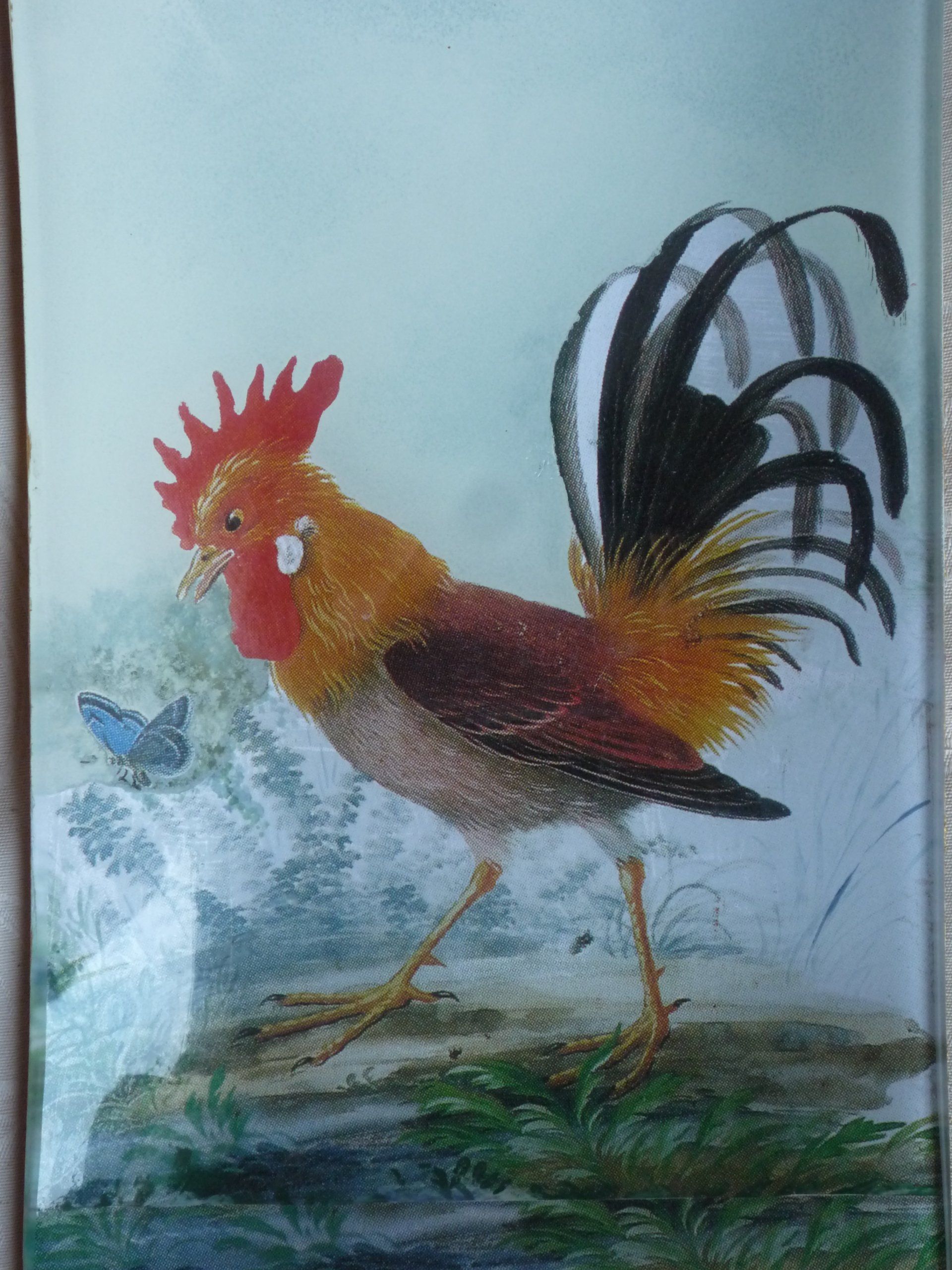 animali, cani, gatti, cavalli,  quadri, ritratti, dipinti, su misura, animali vestiti, oggetti, arredi, uova dipeinte, piatti, decorazioni, trompe, fiori, stencil, decoupage, carta, colla, matita, pennello, olio su tela , riviste, pubblicazioni, eventi, Marina Rigolone, artista, pittrice, decoratrice,