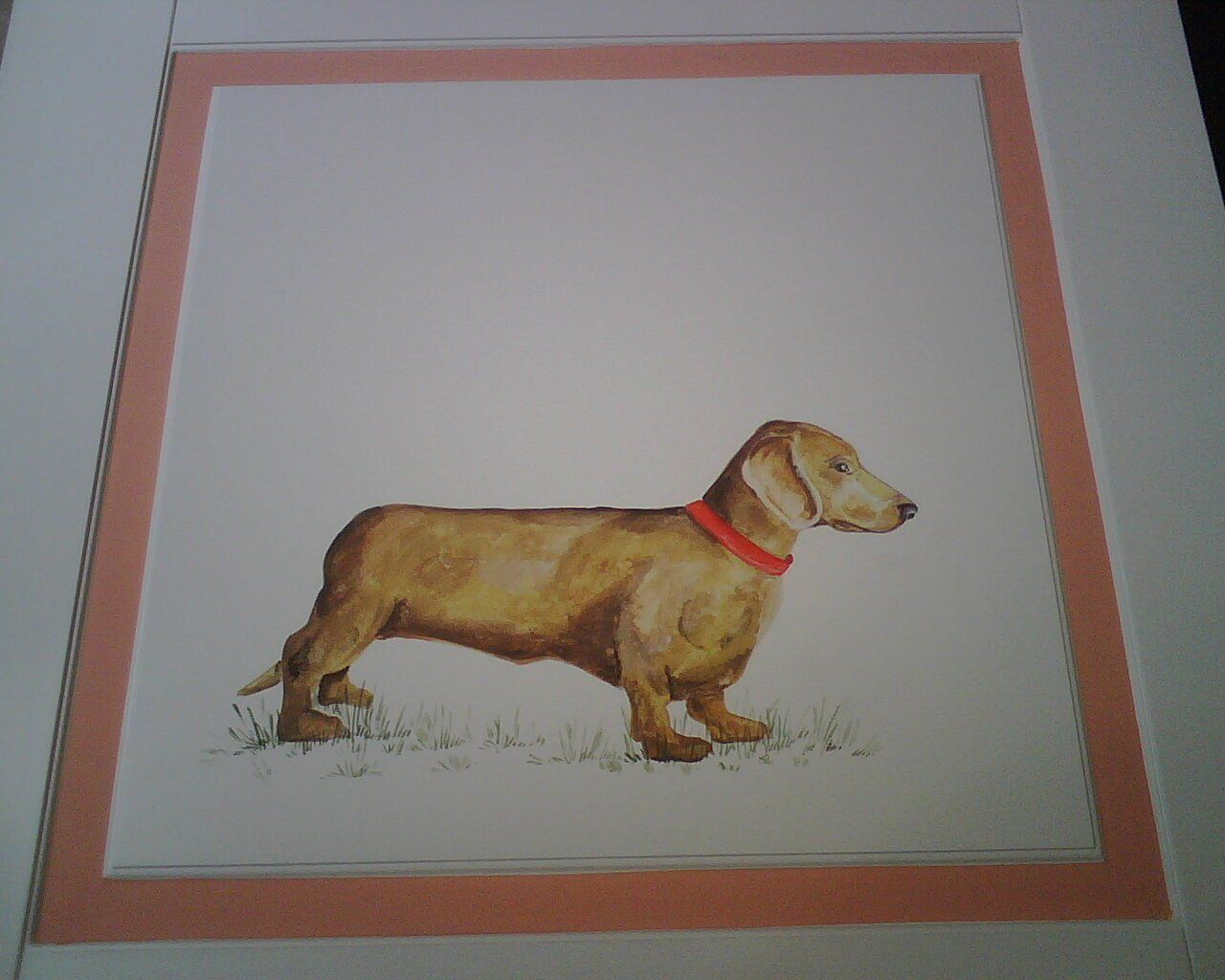 animali, cani, gatti, cavalli, quadri, ritratti, dipinti, su misura, animali vestiti, oggetti, arredi, uova dipeinte, piatti, decorazioni, trompe, fiori, stencil, decoupage, carta, colla, matita, pennello, olio su tela , riviste, pubblicazioni, eventi, Marina Rigolone, artista, pittrice, decoratrice,