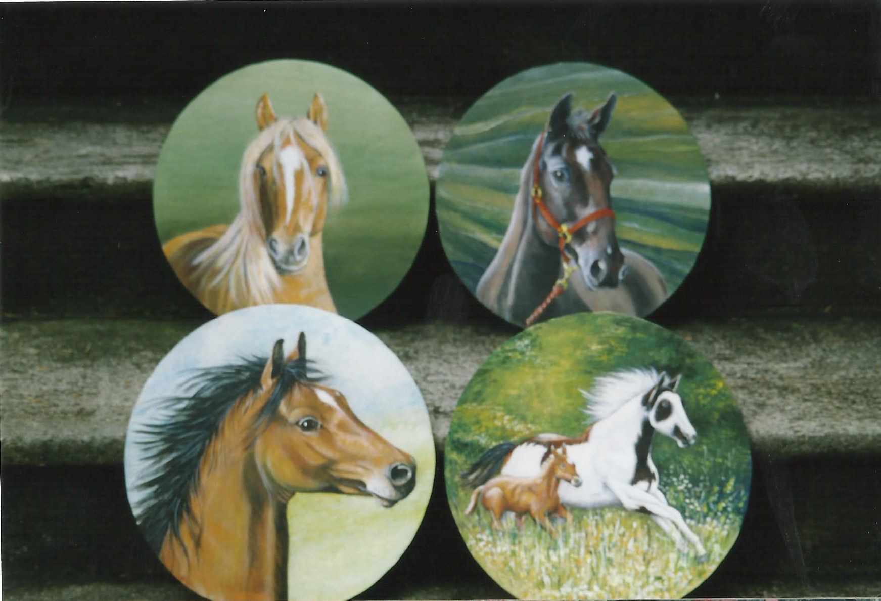 animali, cani, gatti, cavalli, quadri, ritratti, dipinti, su misura, animali vestiti, oggetti, arredi, uova dipeinte, piatti, decorazioni, trompe, fiori, stencil, decoupage, carta, colla, matita, pennello, olio su tela , riviste, pubblicazioni, eventi, Marina Rigolone, artista, pittrice, decoratrice,