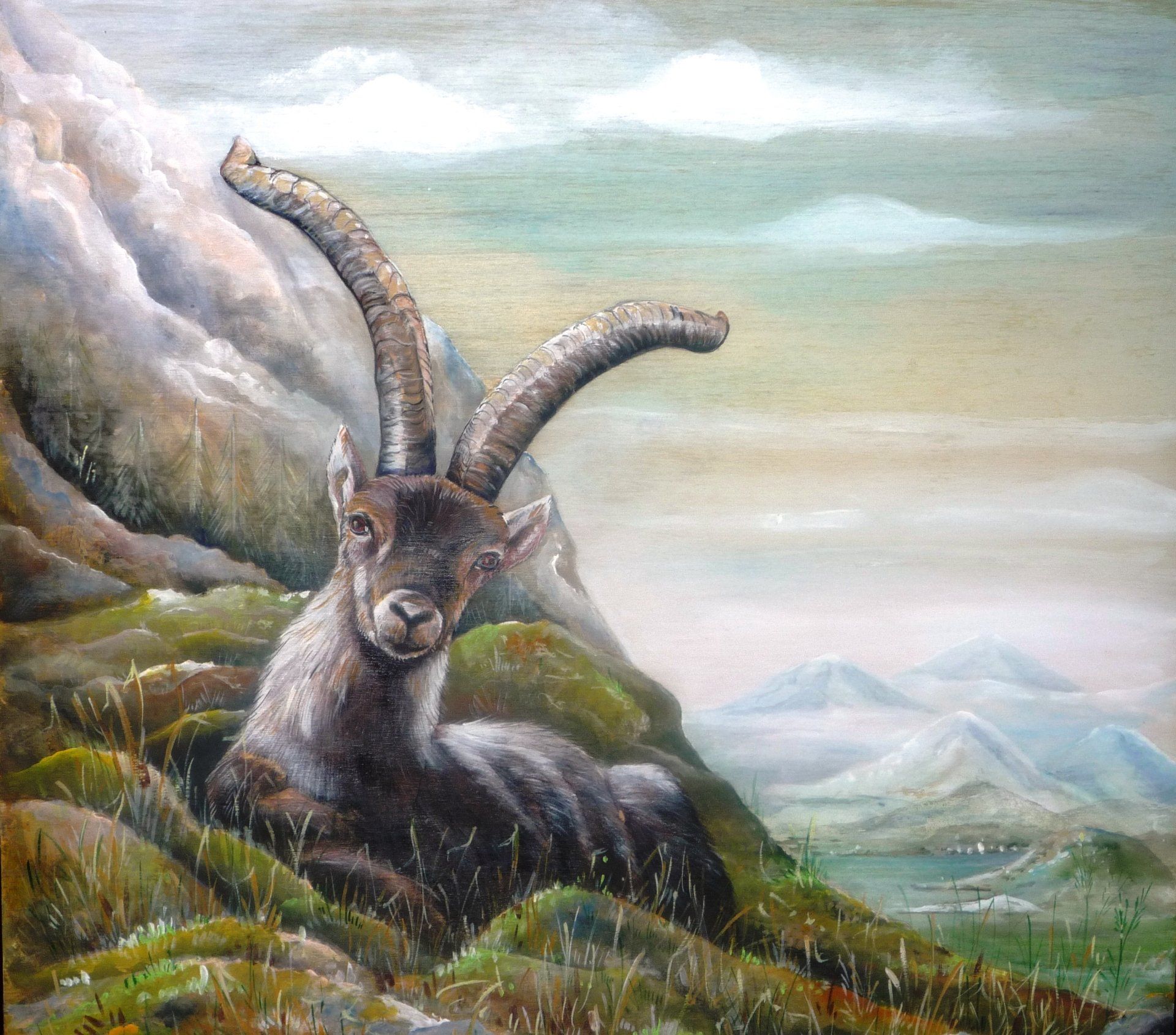 animali, cani, gatti, cavalli,  quadri, ritratti, dipinti, su misura, animali vestiti, oggetti, arredi, uova dipeinte, piatti, decorazioni, trompe, fiori, stencil, decoupage, carta, colla, matita, pennello, olio su tela , riviste, pubblicazioni, eventi, Marina Rigolone, artista, pittrice, decoratrice,