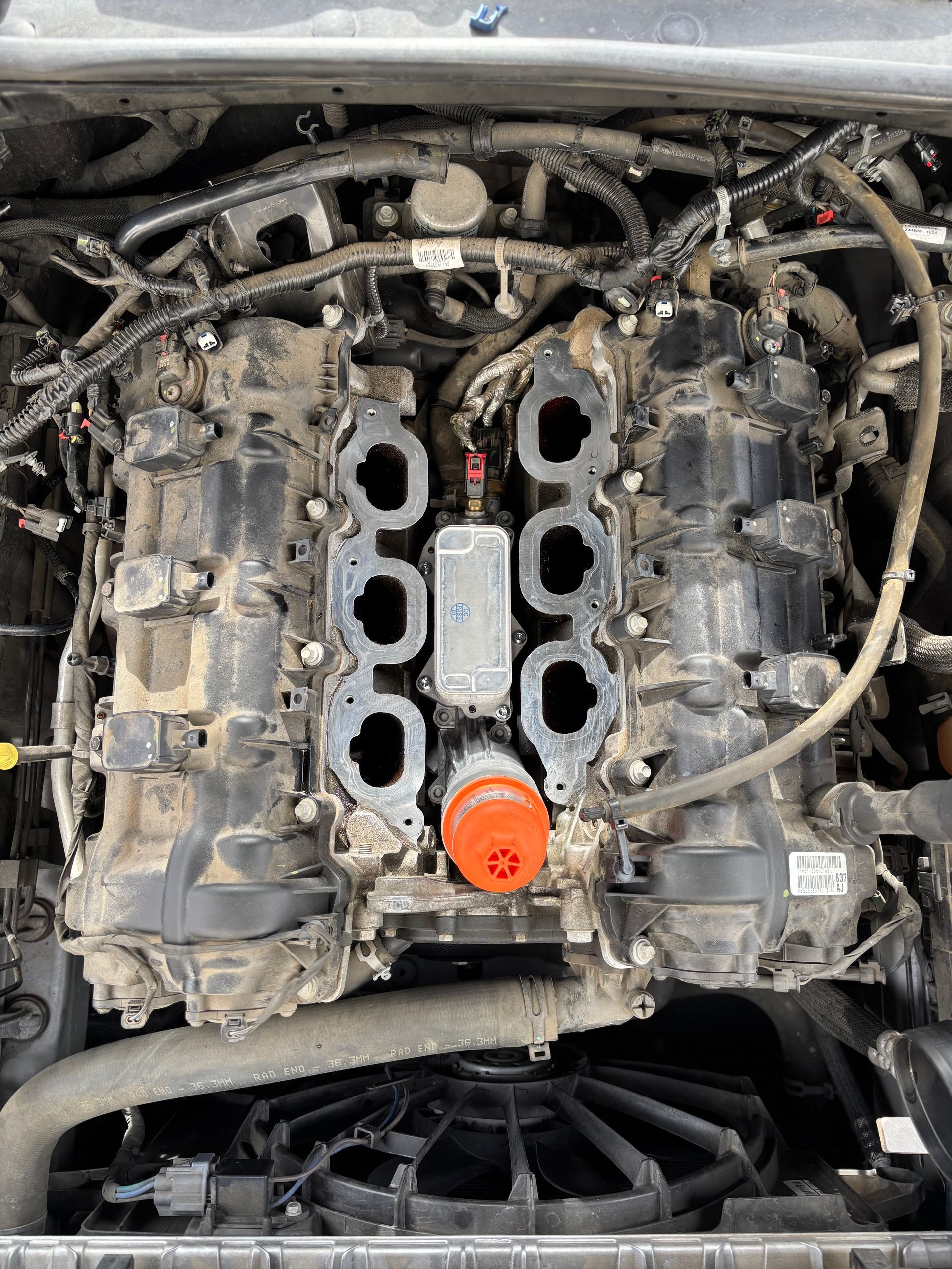 Our Work Gallery Image