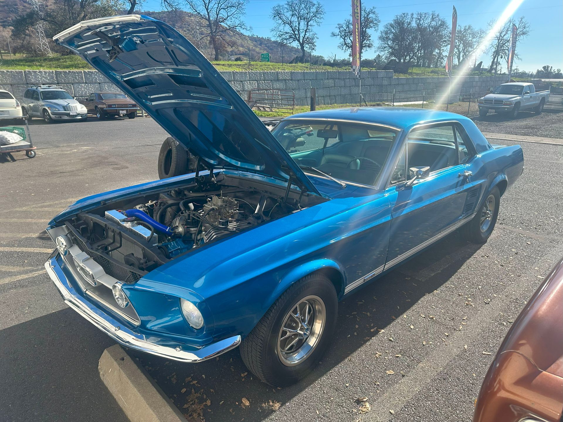 Muscle Car Gallery Image