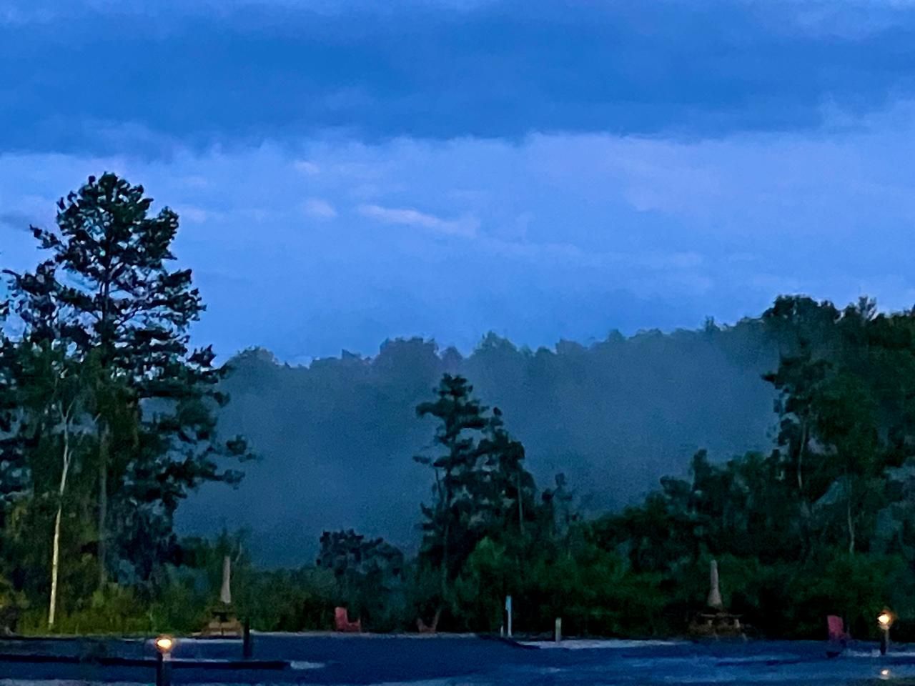 Misty forest at dusk under a cloudy blue sky.