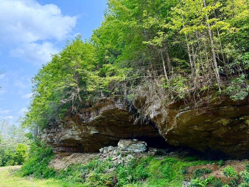Rocky cliff overhang covered in green trees and shrubs under a blue sky.